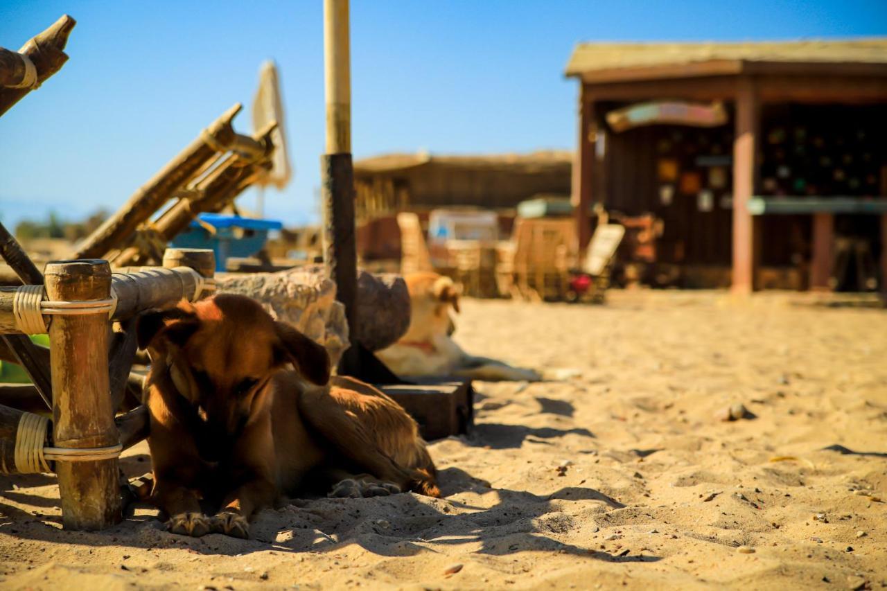 Habiba Beach Lodge นูเวบา ภายนอก รูปภาพ